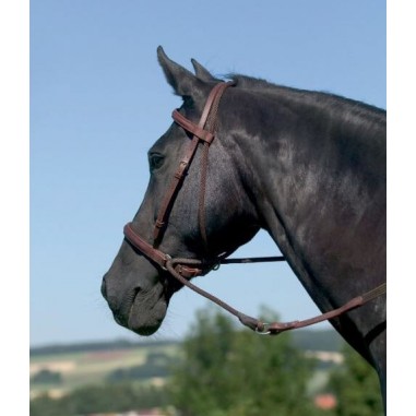 Bitless bridle Connection